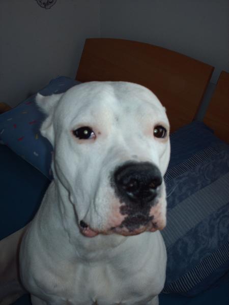 urka